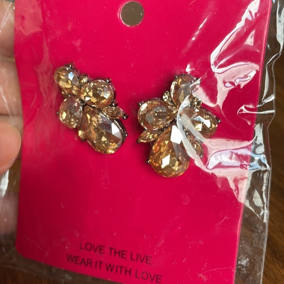Crystal Swarovski earrings NWT - Picture 2 of 2
